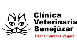 clinica_veterinaria_benejuzar_8